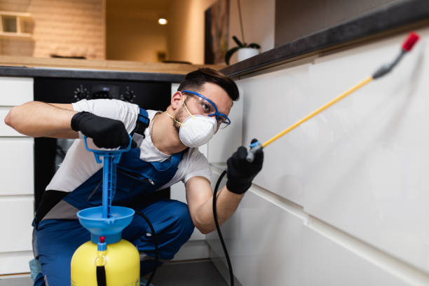 Best Affordable Pest Control Services  in White Island Shores, MA