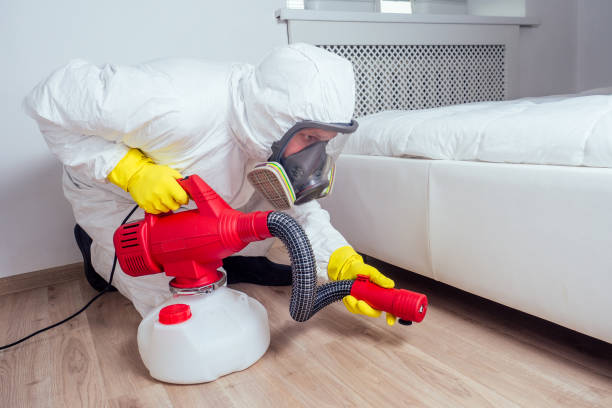 Best Emergency Pest Control  in White Island Shores, MA