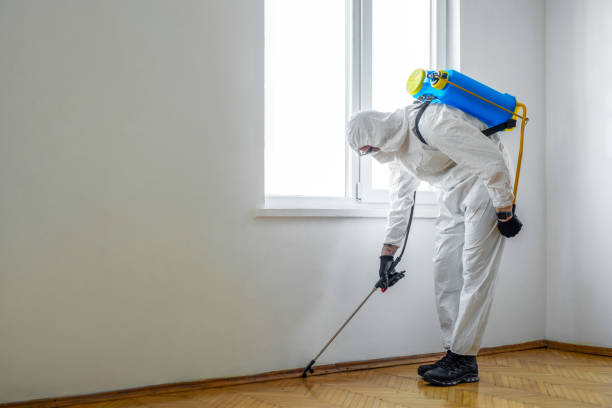 Best Pest Inspection Near Me  in White Island Shores, MA